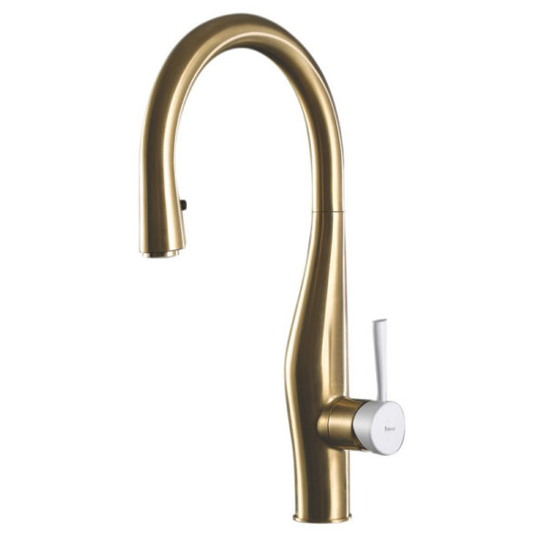 Imagine Pull Down Kitchen Faucet