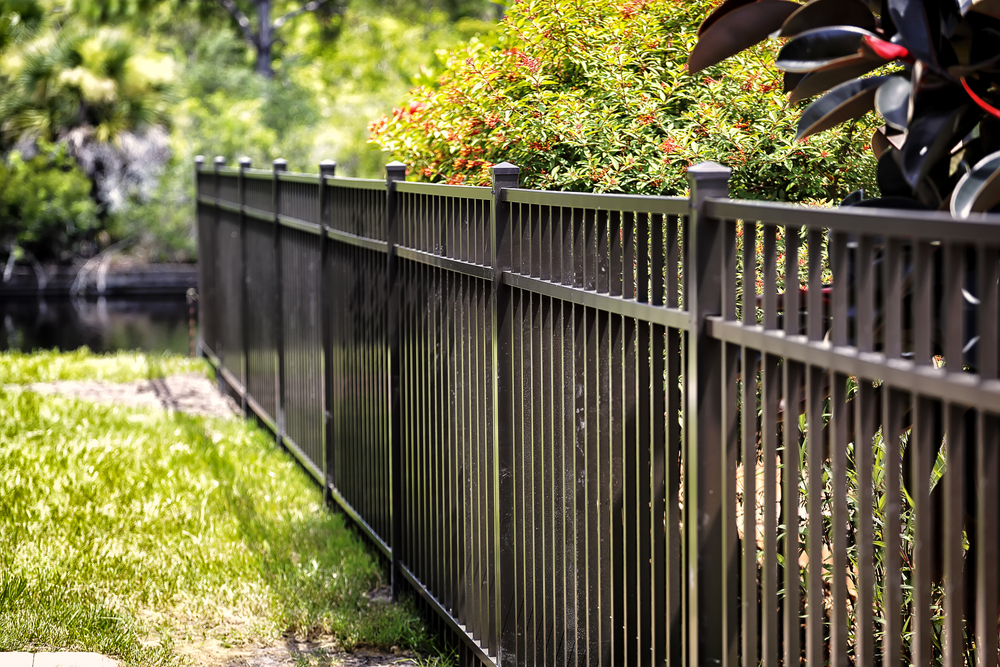 What Fencing Options Are There