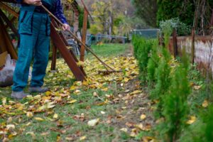 Home 14 How to Prepare Your Home's Landscaping for Winter