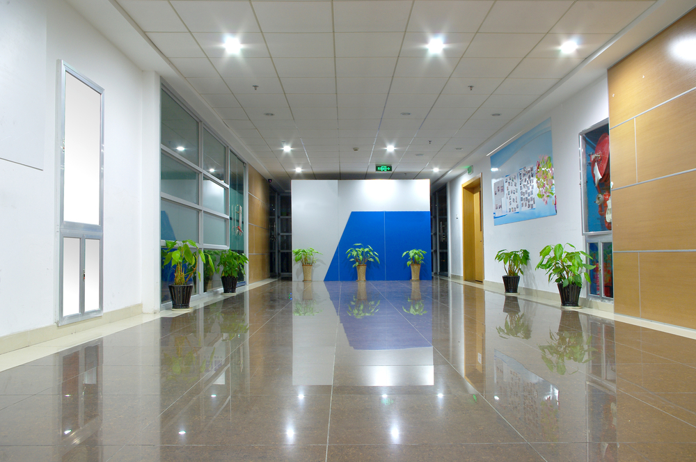 Top Commercial Flooring Options That Withstand Heavy Summer Foot Traffic 1 Office entrance