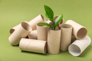 Home 14 Empty toilet paper roll. Empty toilet paper rolls and plant for on green background. Paper tube of toilet paper. Place for text. Copy space. Flat lay. Eco-friendly reuse recycle