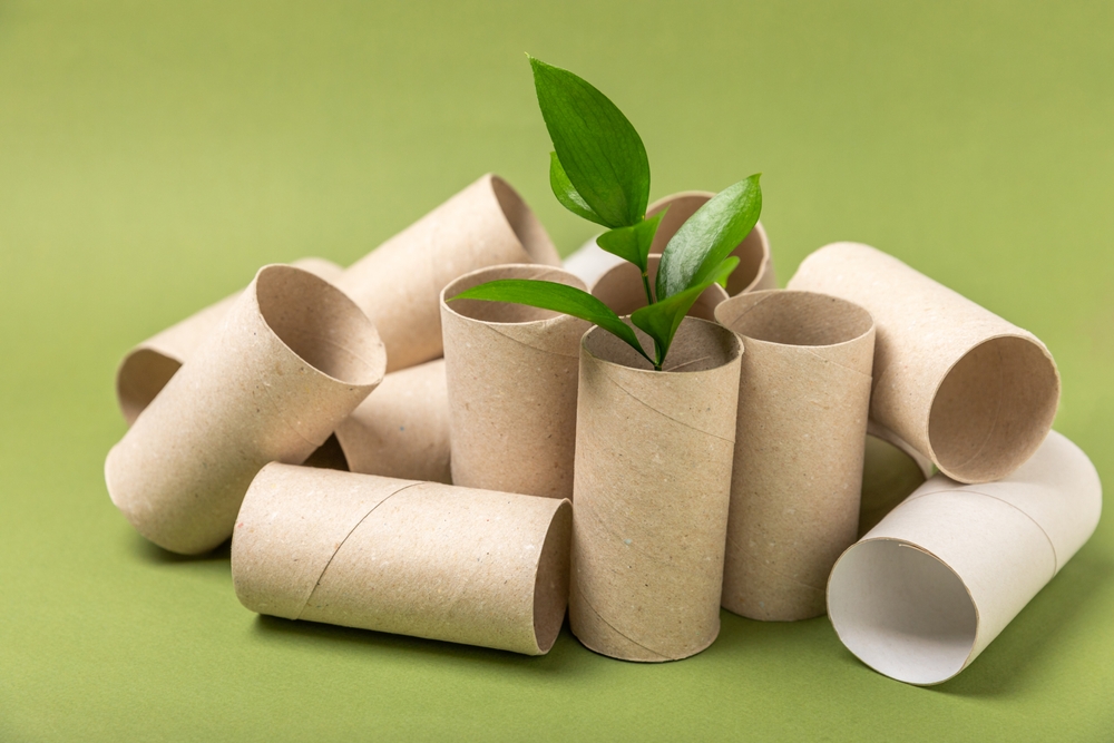 Is Your Bathroom Wasting Energy? Eco-Friendly Remodel Tips 1 Empty toilet paper roll. Empty toilet paper rolls and plant for on green background. Paper tube of toilet paper. Place for text. Copy space. Flat lay. Eco-friendly reuse recycle