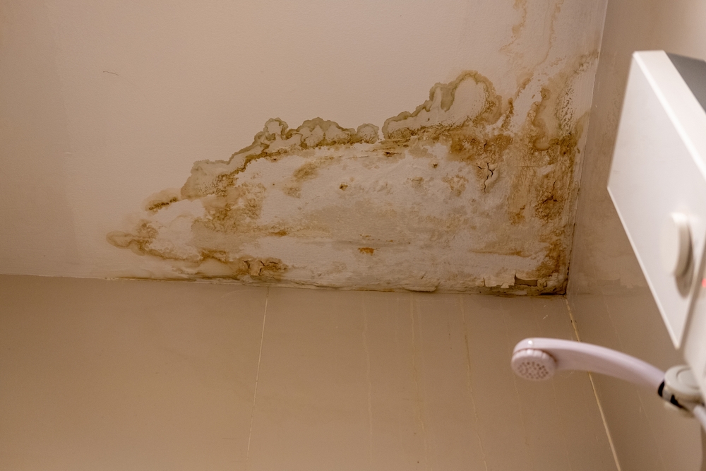 Bathroom ceiling with visible moisture stains showing dampness, humidity, and water damage